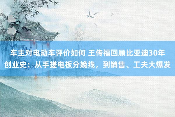 车主对电动车评价如何 王传福回顾比亚迪30年创业史：从手搓电板分娩线，到销售、工夫大爆发