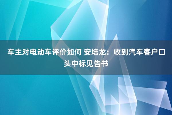 车主对电动车评价如何 安培龙：收到汽车客户口头中标见告书