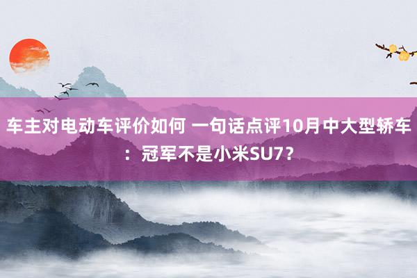 车主对电动车评价如何 一句话点评10月中大型轿车：冠军不是小米SU7？