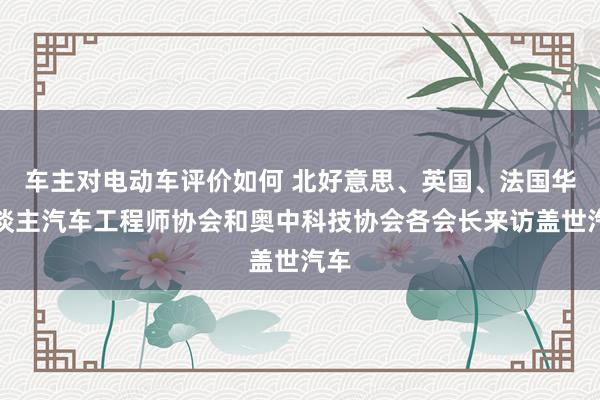 车主对电动车评价如何 北好意思、英国、法国华东谈主汽车工程师协会和奥中科技协会各会长来访盖世汽车