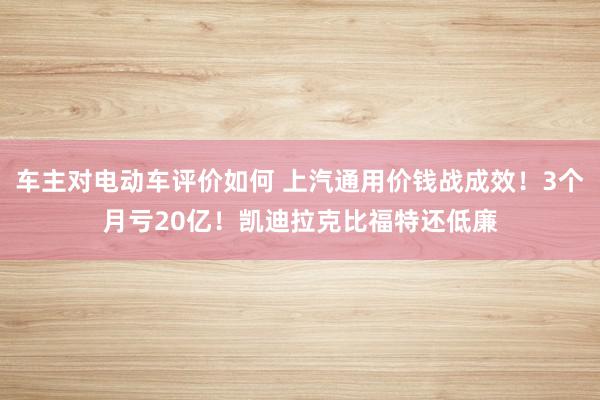 车主对电动车评价如何 上汽通用价钱战成效！3个月亏20亿！凯迪拉克比福特还低廉