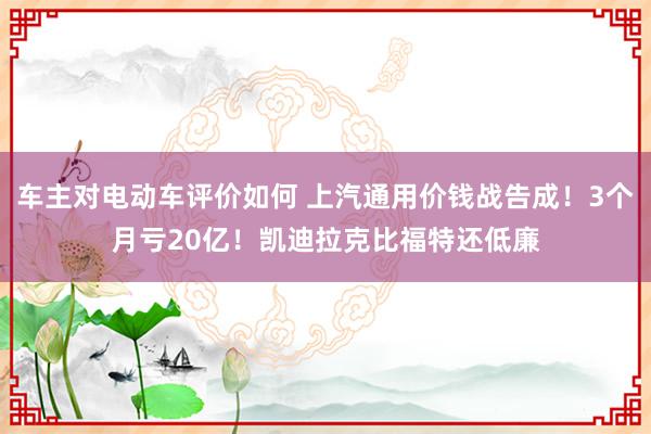 车主对电动车评价如何 上汽通用价钱战告成！3个月亏20亿！凯迪拉克比福特还低廉