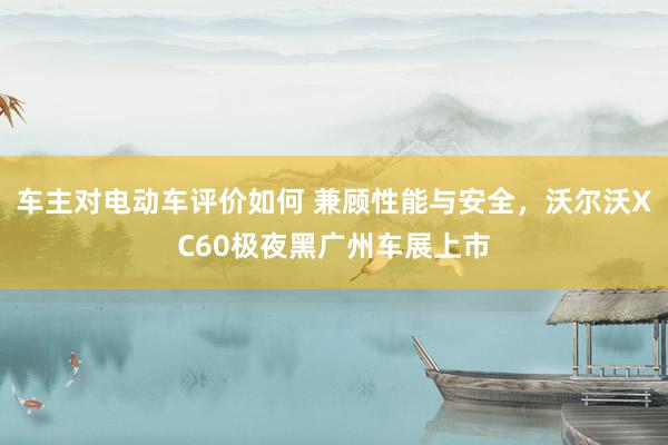 车主对电动车评价如何 兼顾性能与安全，沃尔沃XC60极夜黑广州车展上市