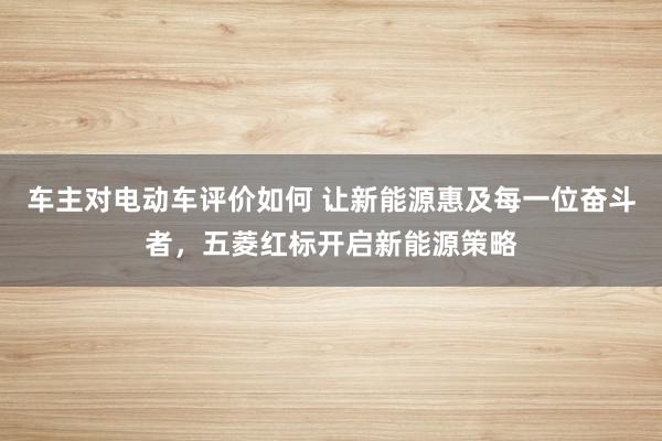 车主对电动车评价如何 让新能源惠及每一位奋斗者，五菱红标开启新能源策略