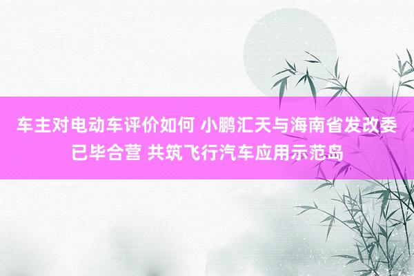 车主对电动车评价如何 小鹏汇天与海南省发改委已毕合营 共筑飞行汽车应用示范岛