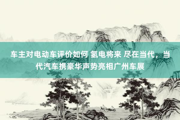 车主对电动车评价如何 氢电将来 尽在当代，当代汽车携豪华声势亮相广州车展