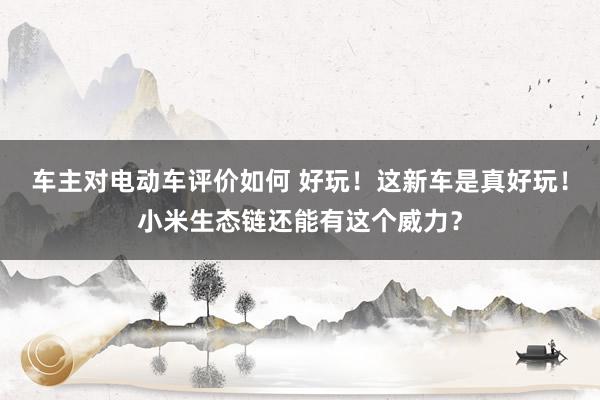 车主对电动车评价如何 好玩！这新车是真好玩！小米生态链还能有这个威力？