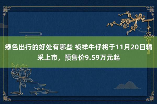 绿色出行的好处有哪些 祯祥牛仔将于11月20日精采上市，预售价9.59万元起